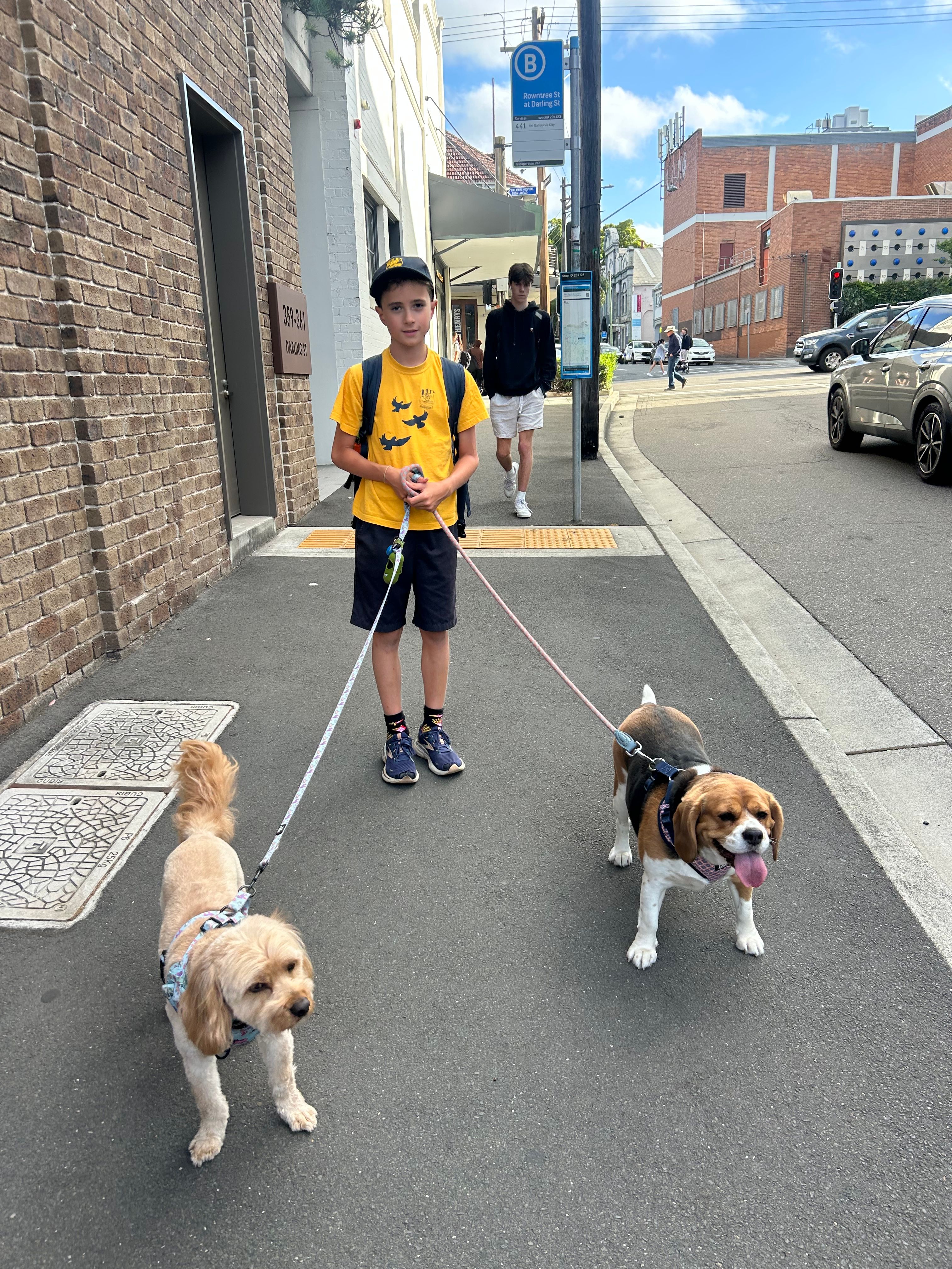 image-16