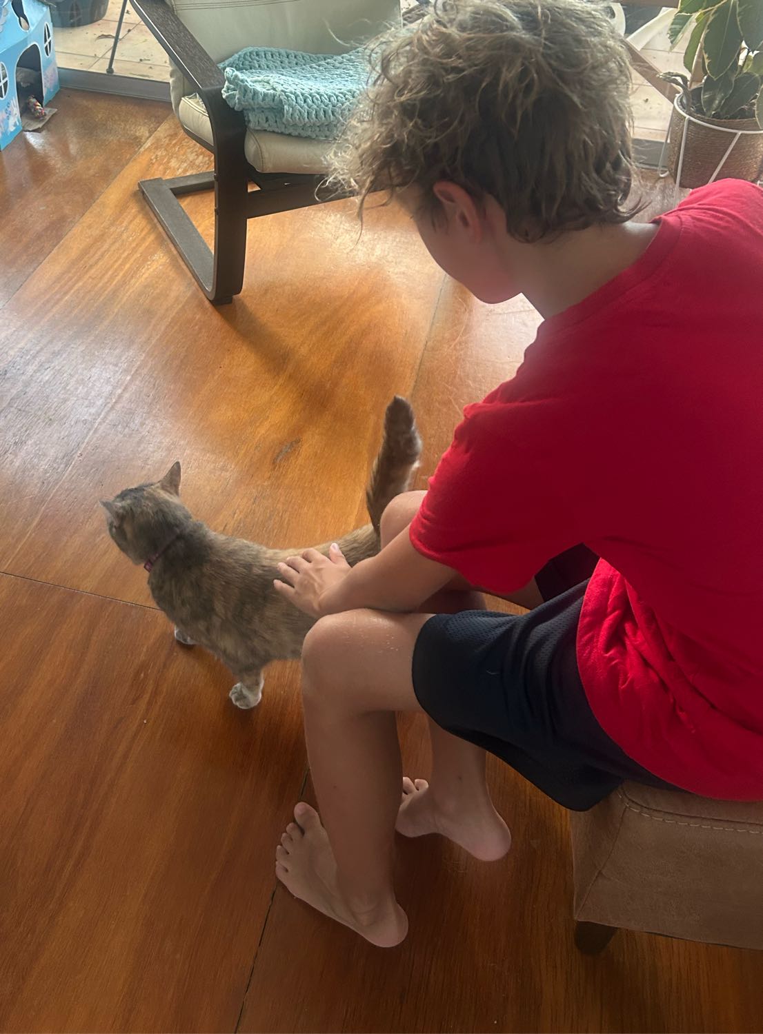 image-13