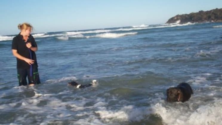 image-5