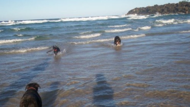 image-8