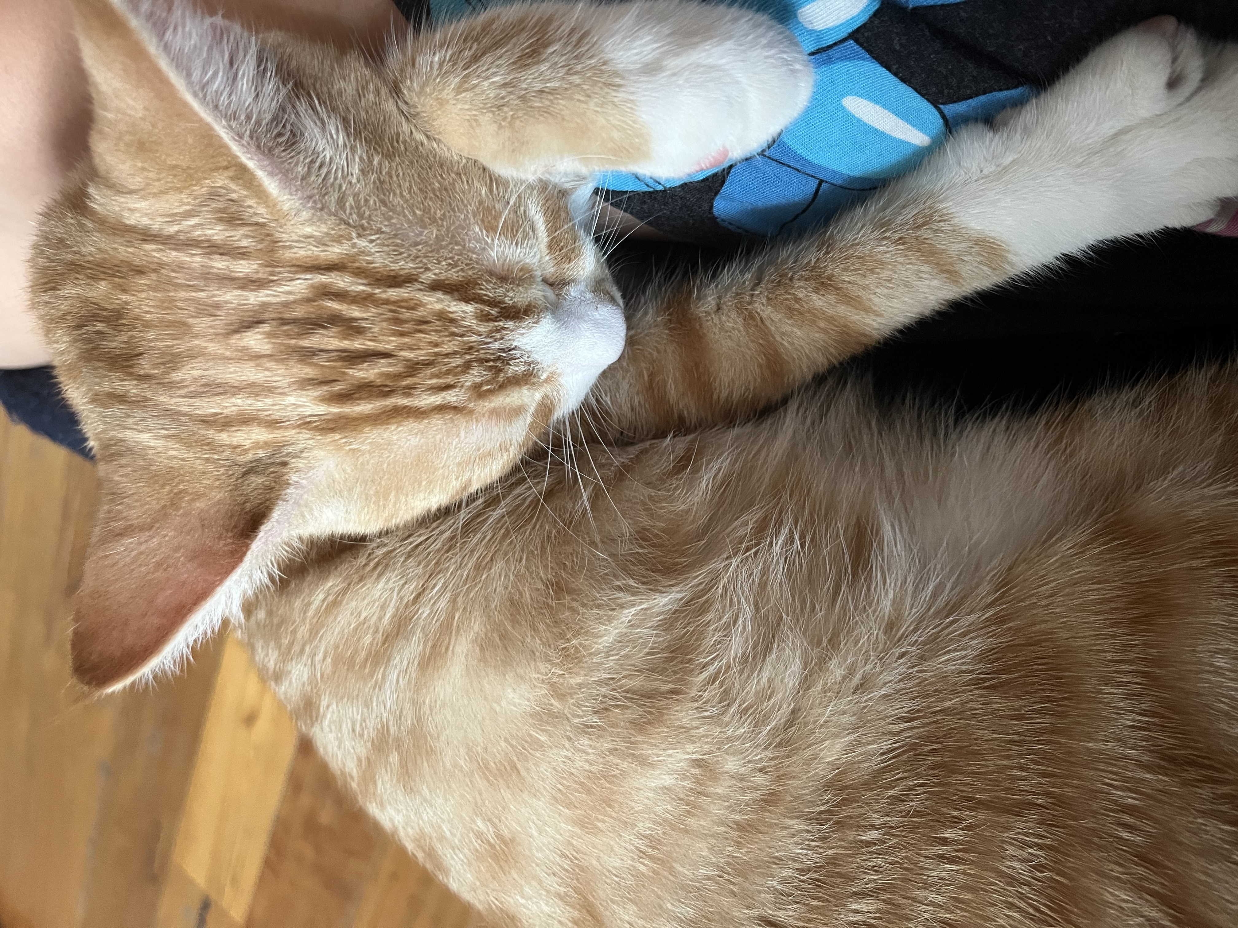 image-7