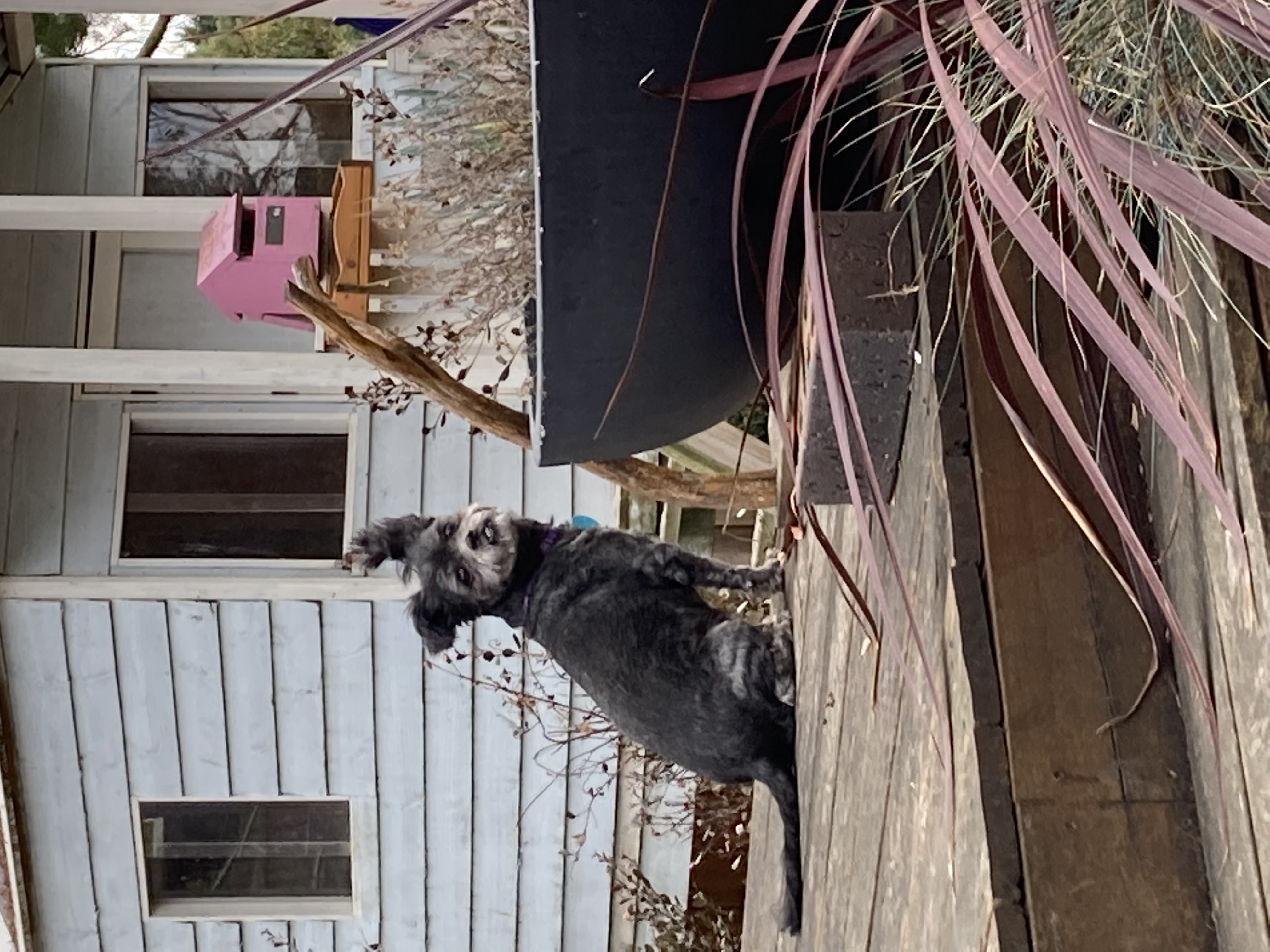 image-17