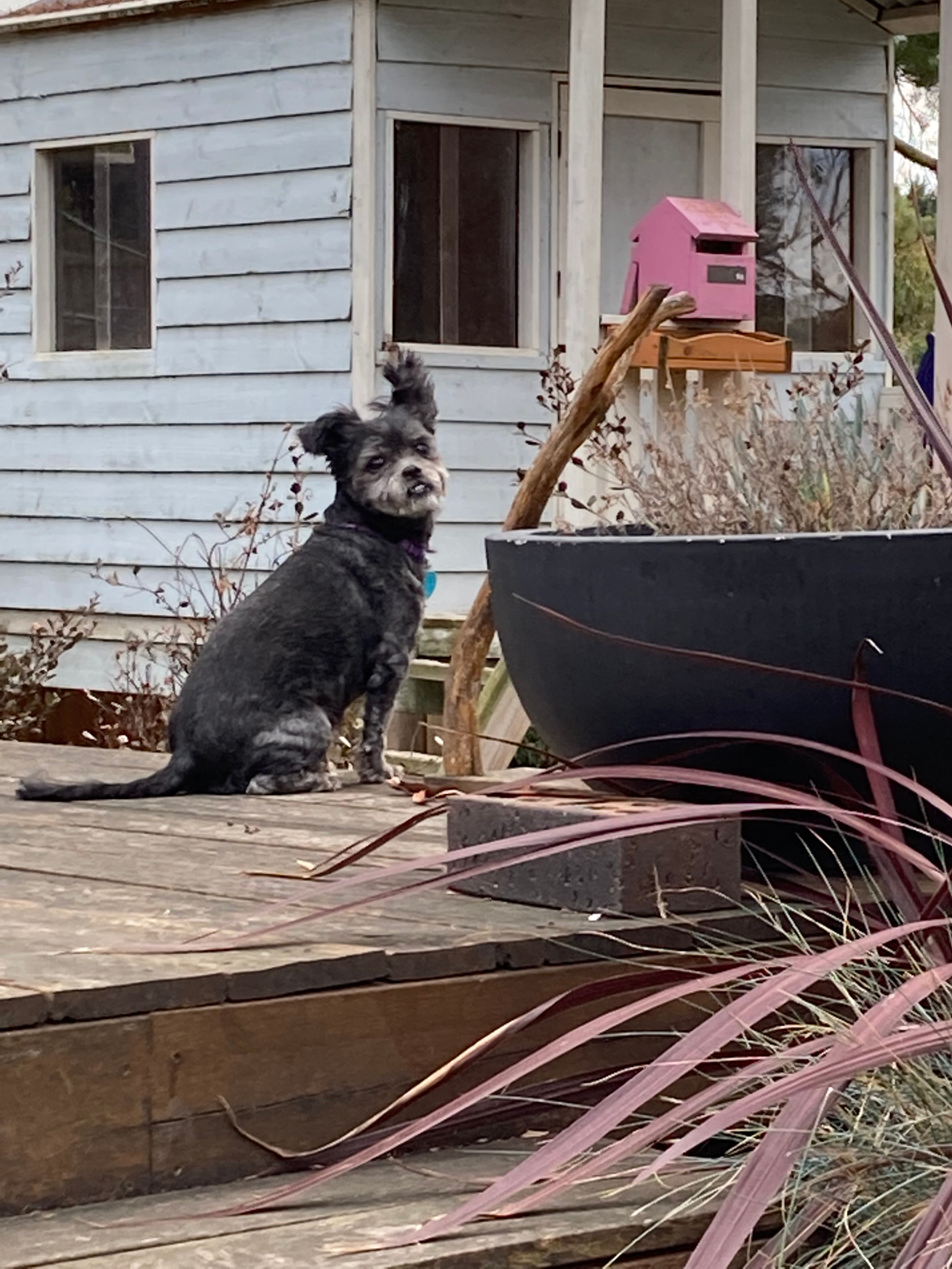 image-17