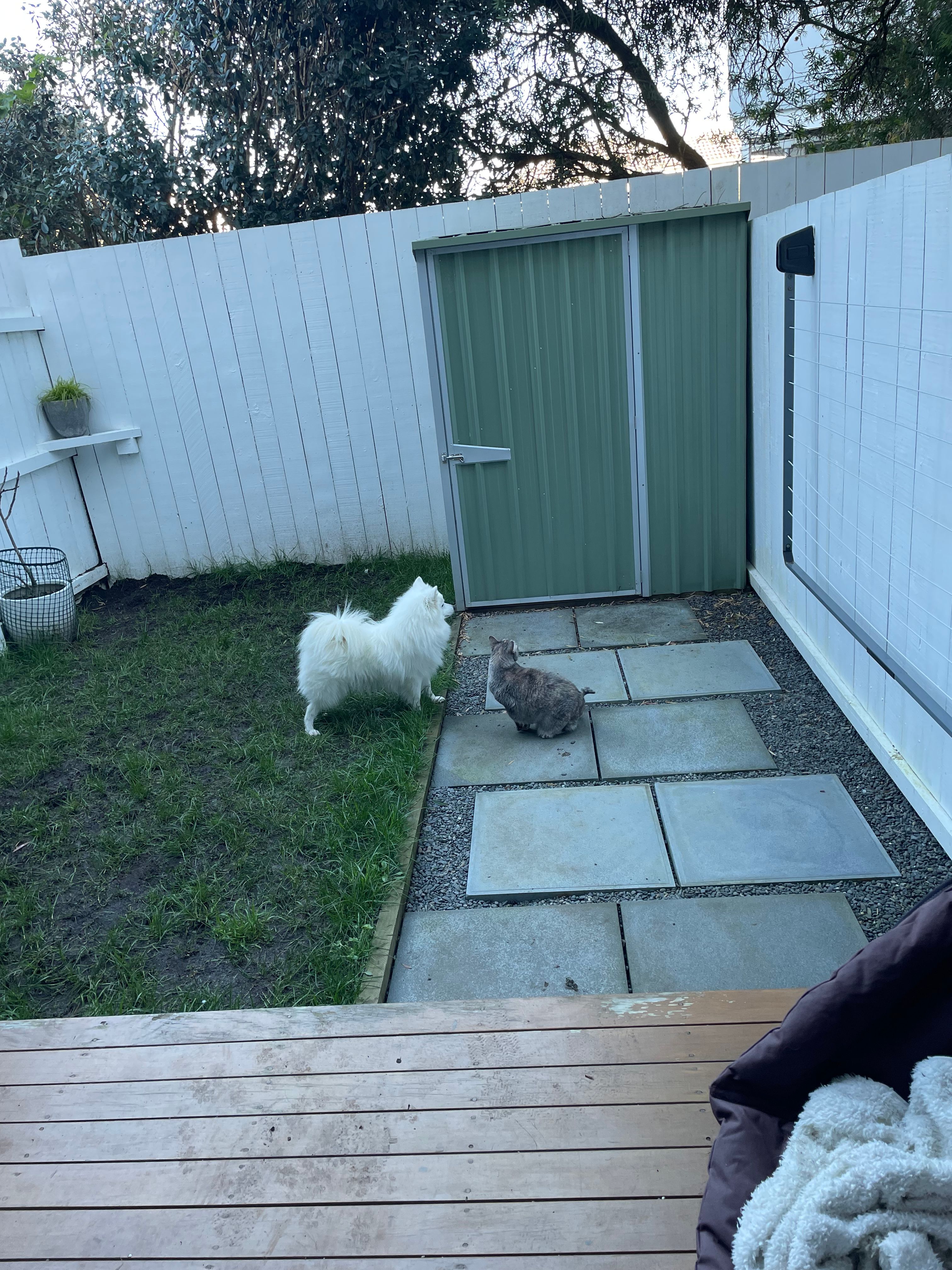 image-17