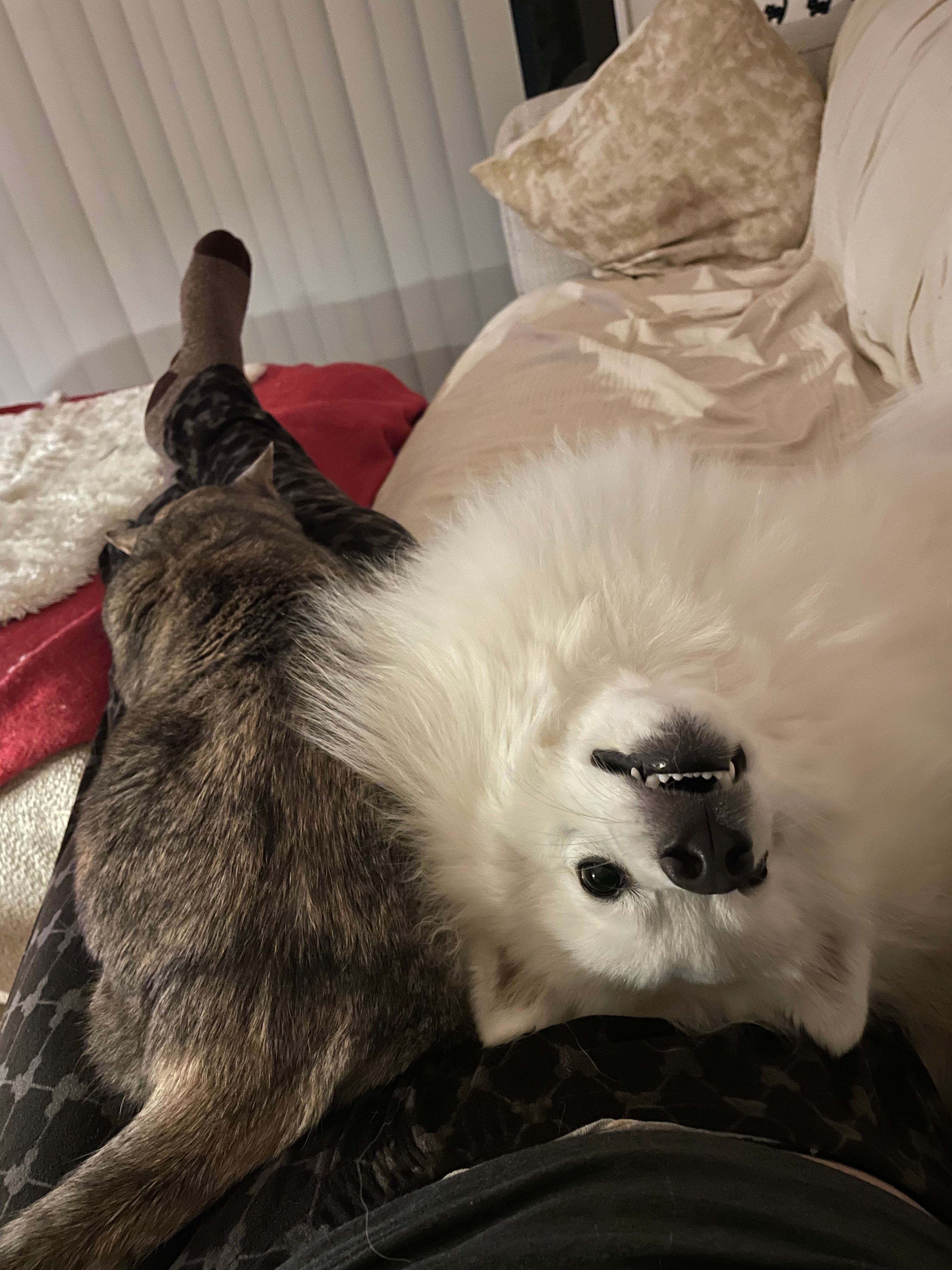 image-6