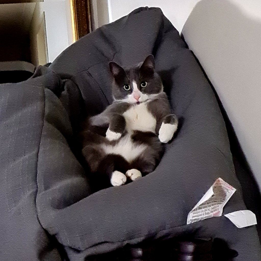 Xena