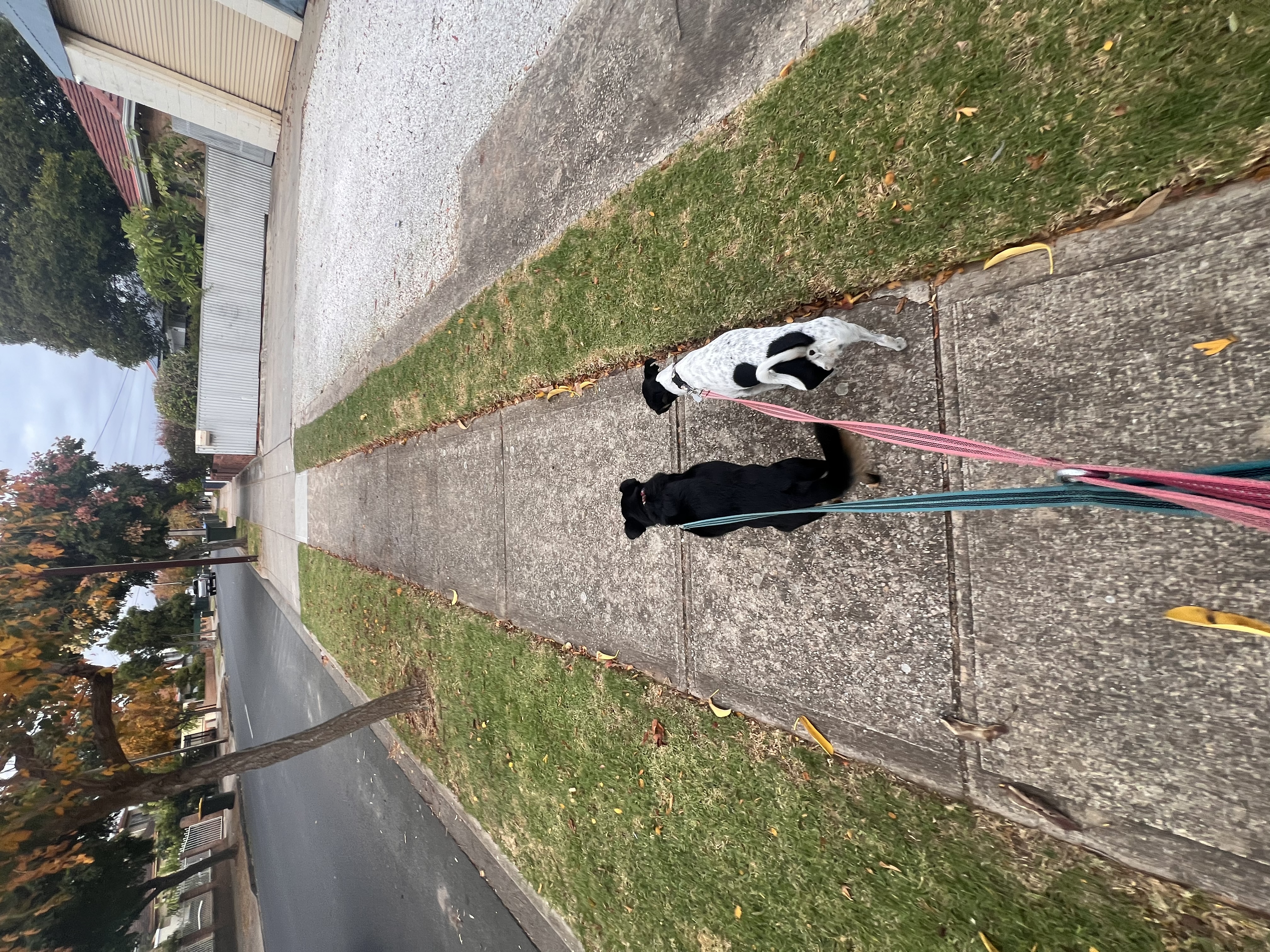 image-18