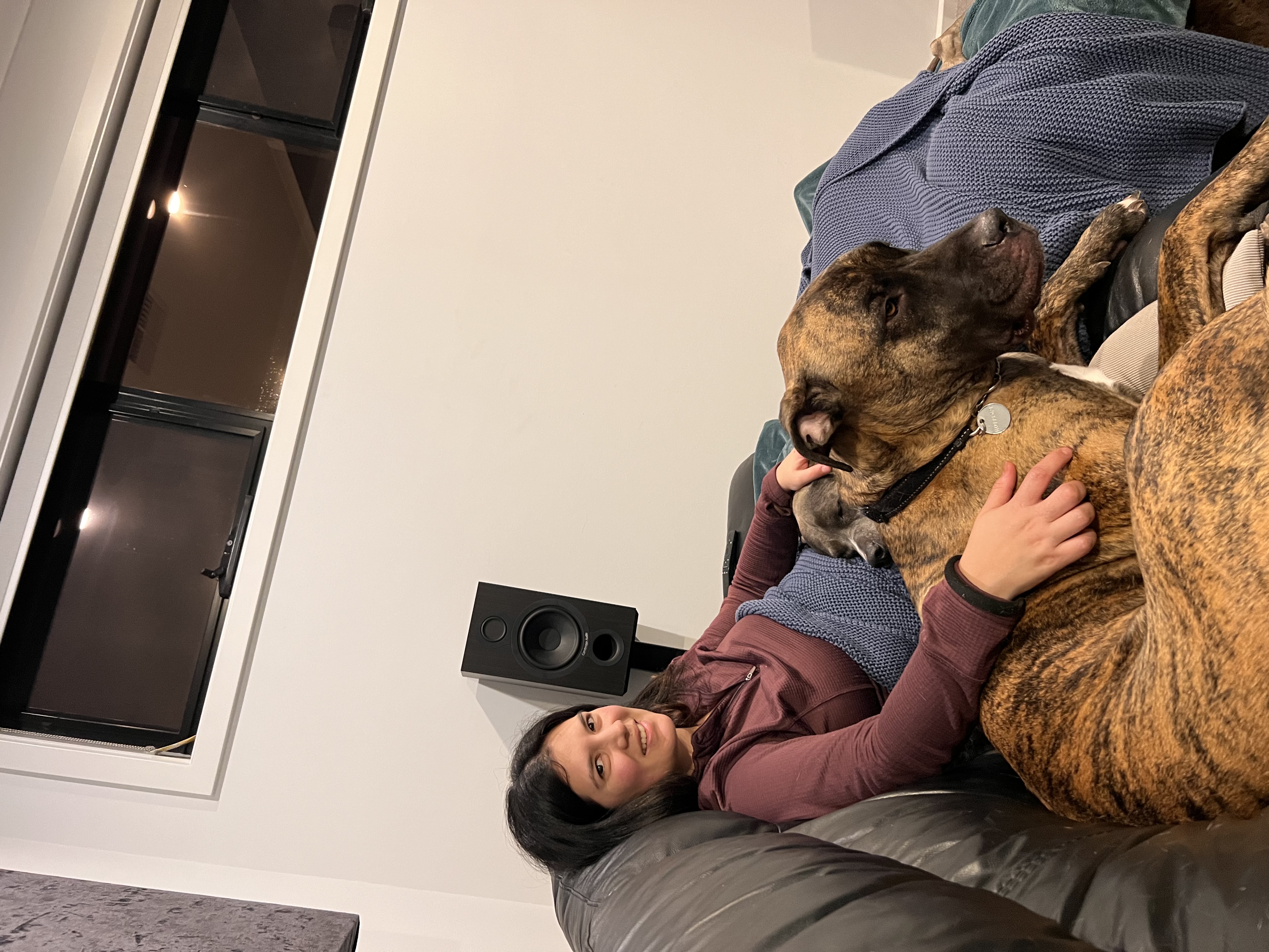 image-27