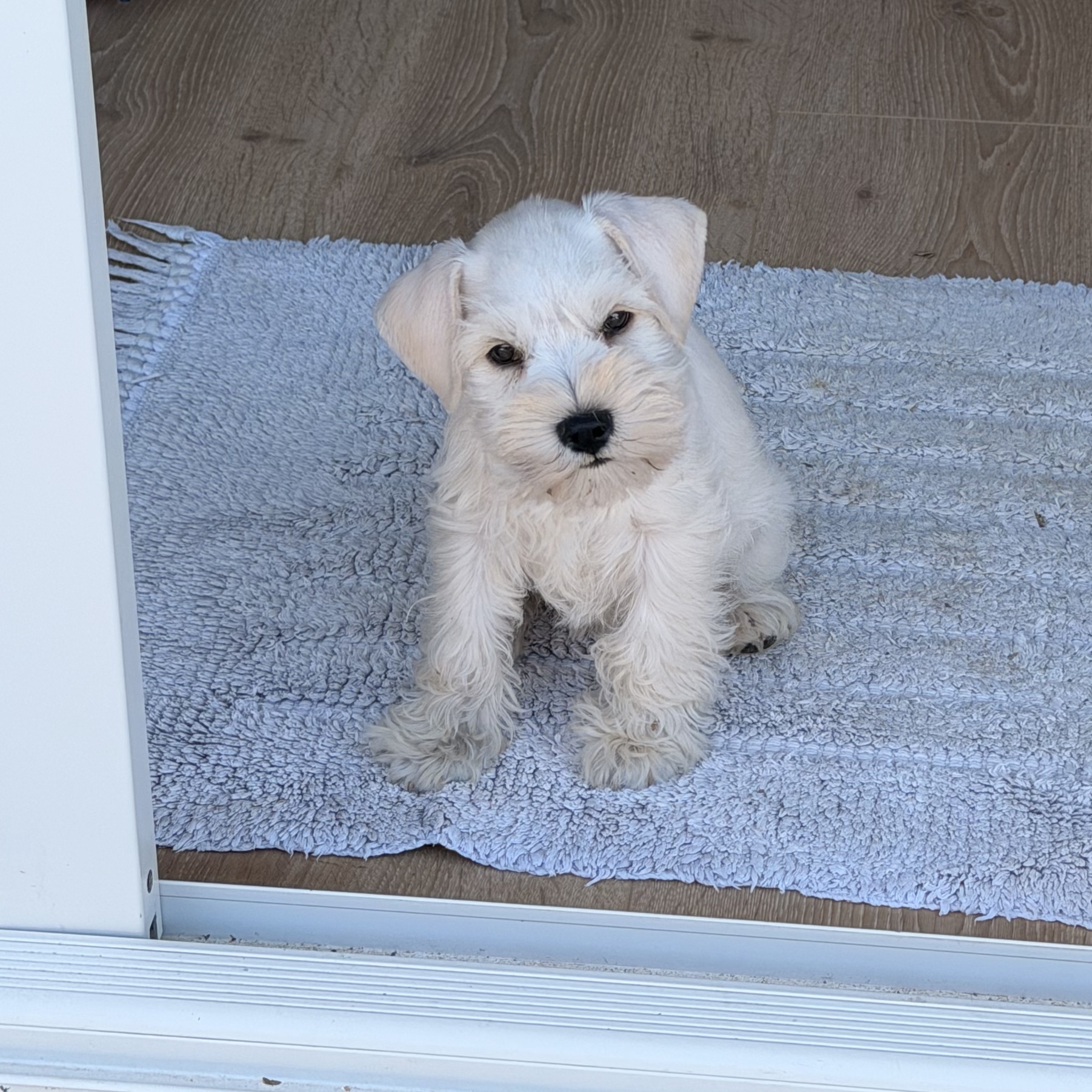 Winnie