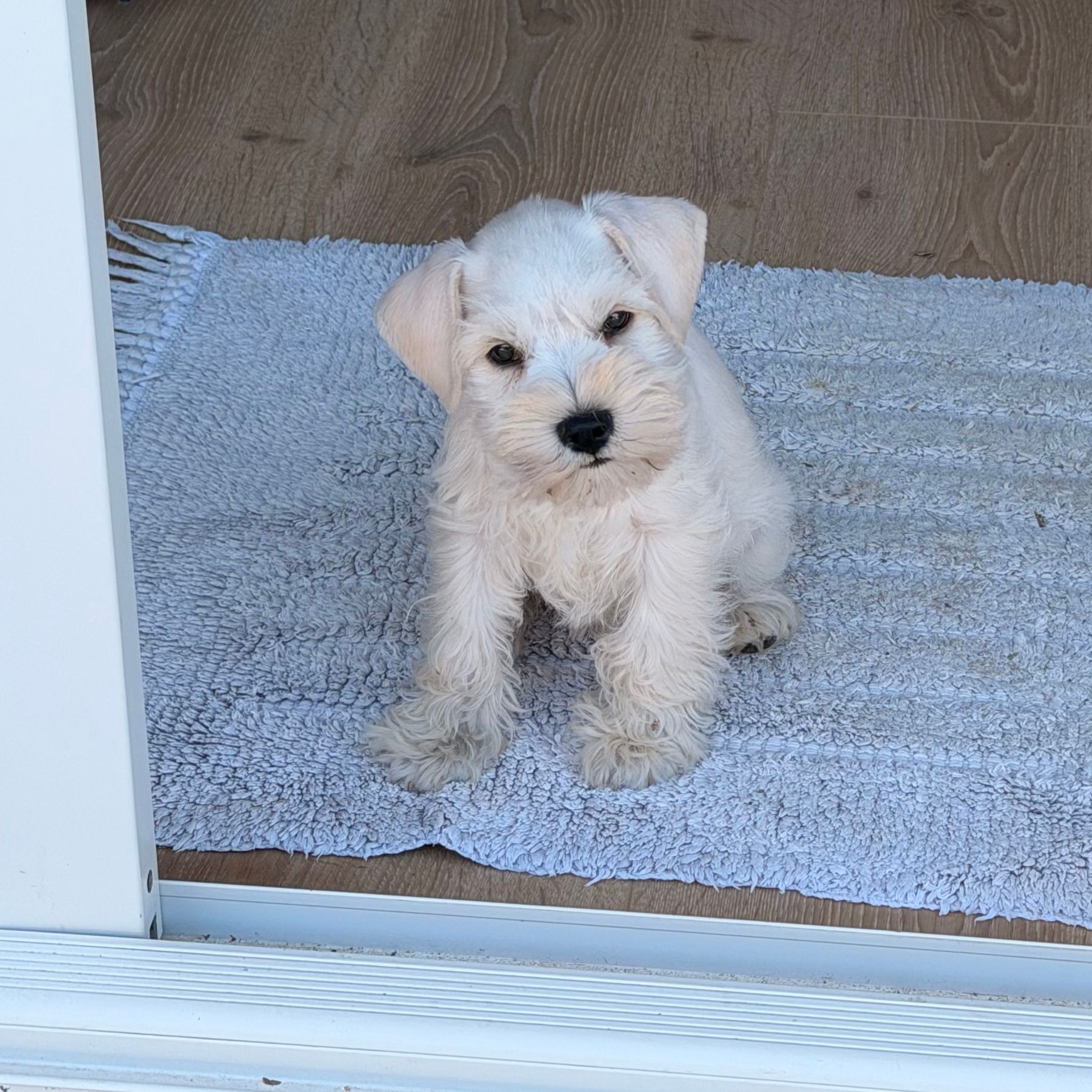 Winnie