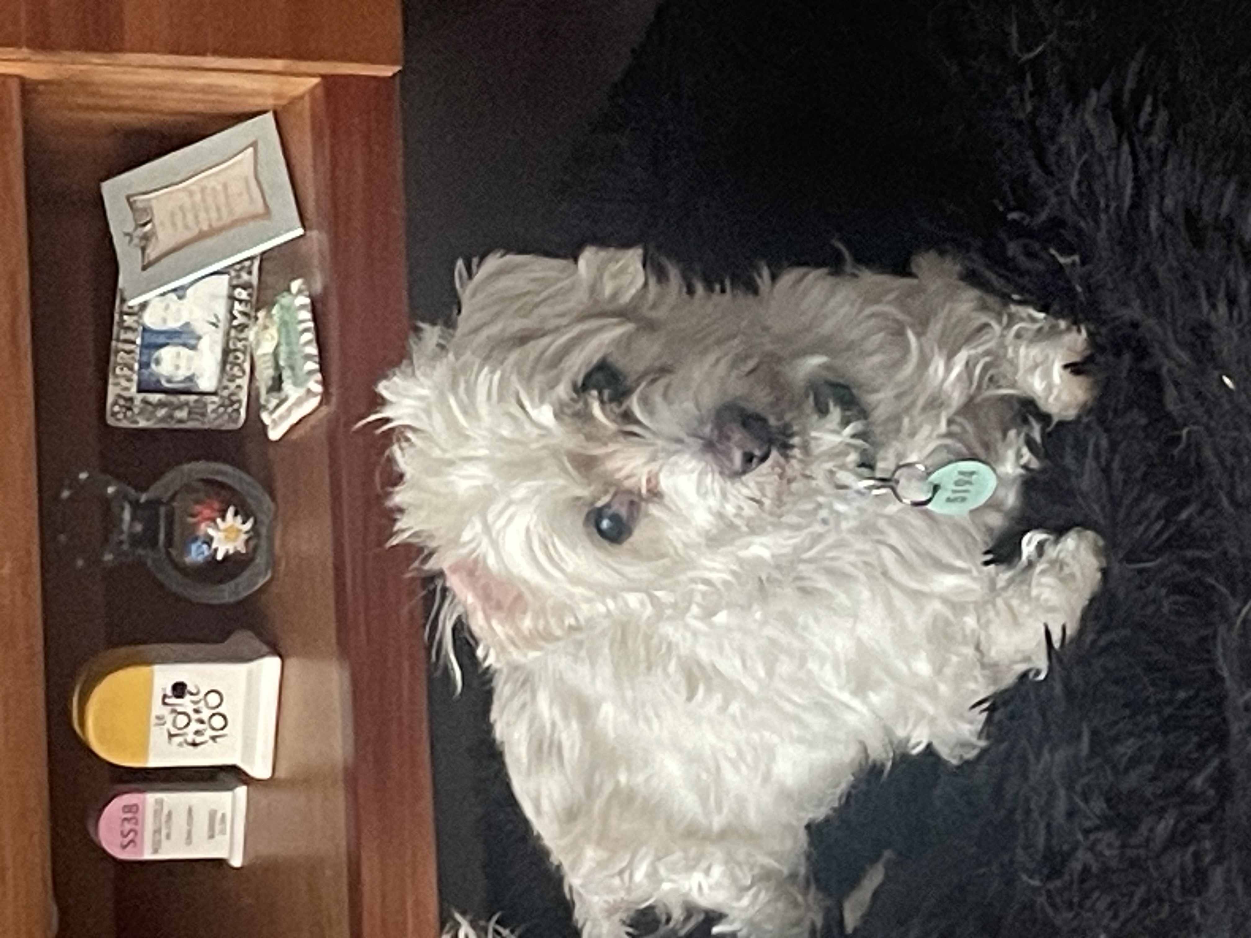 image-12