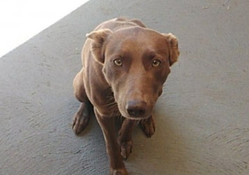 Maggie 
