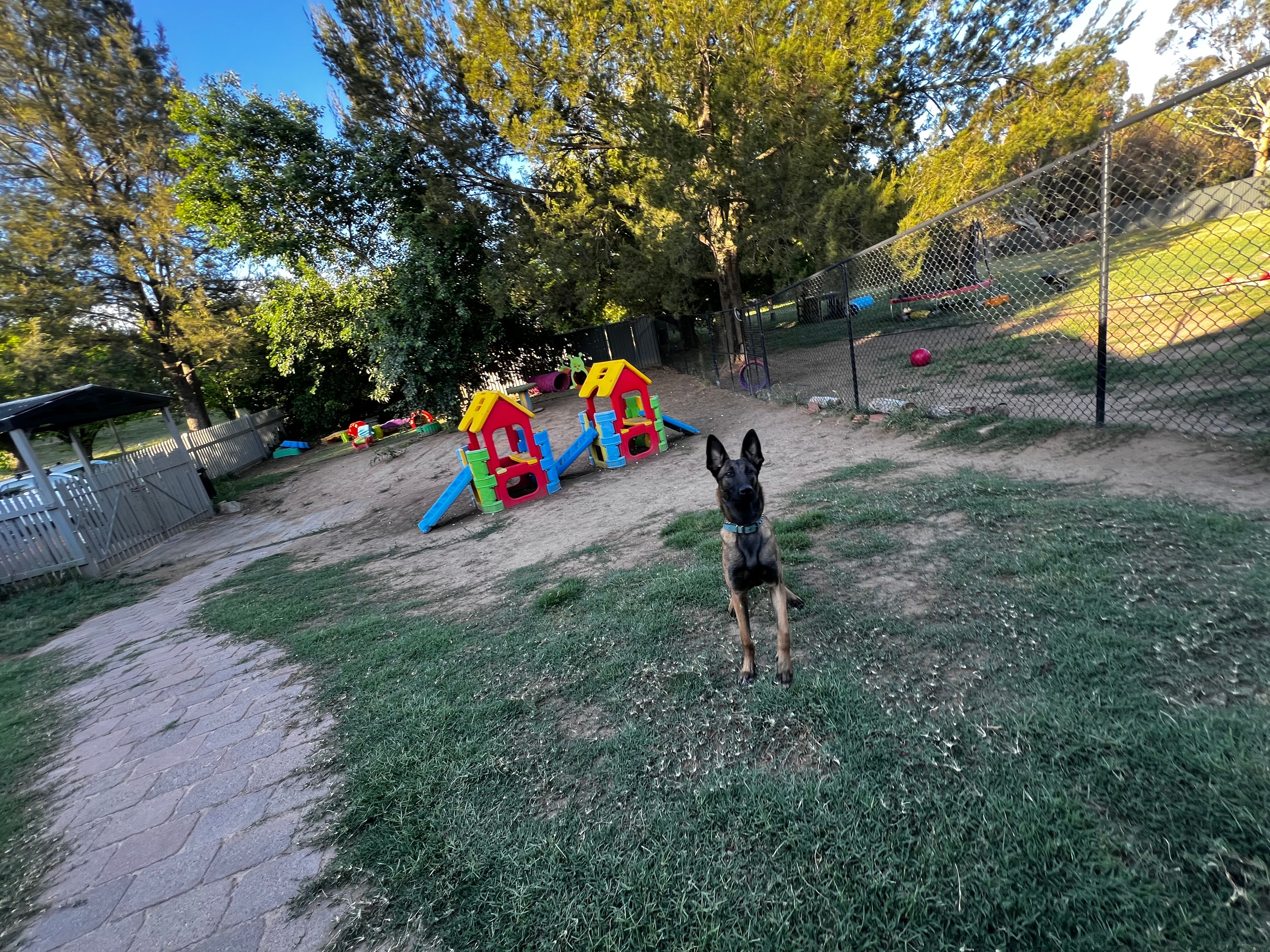 image-12