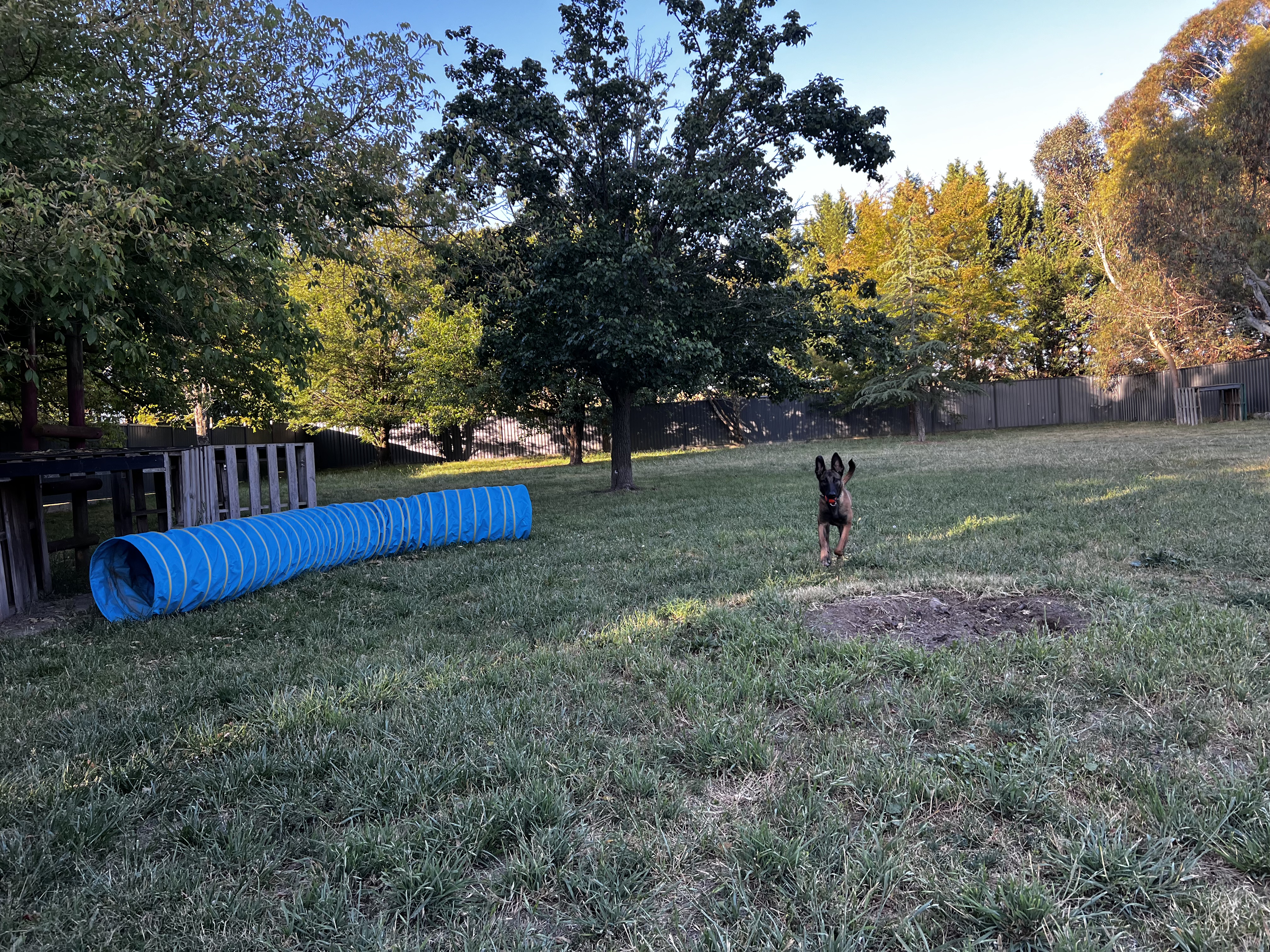 image-9