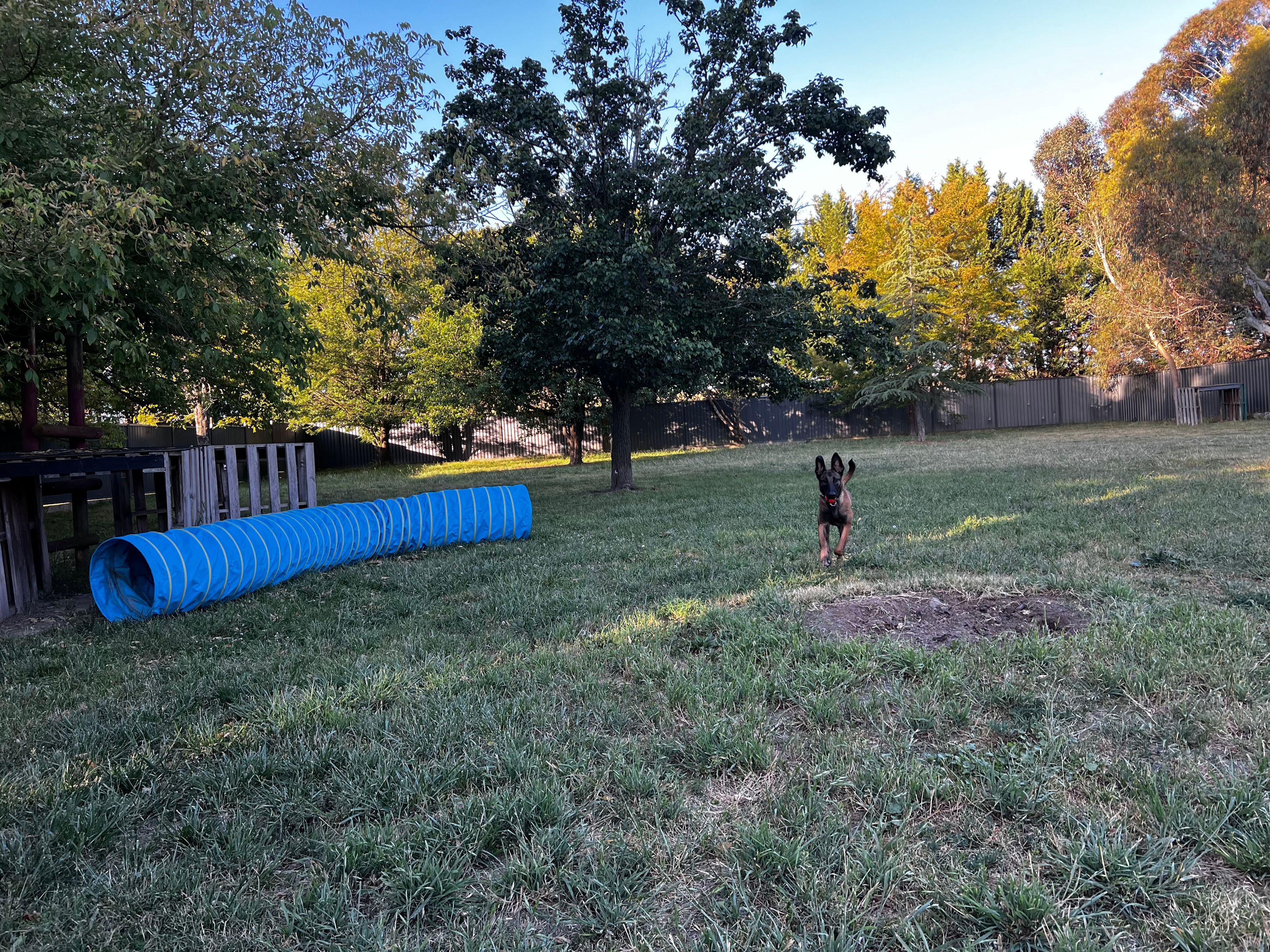 image-9