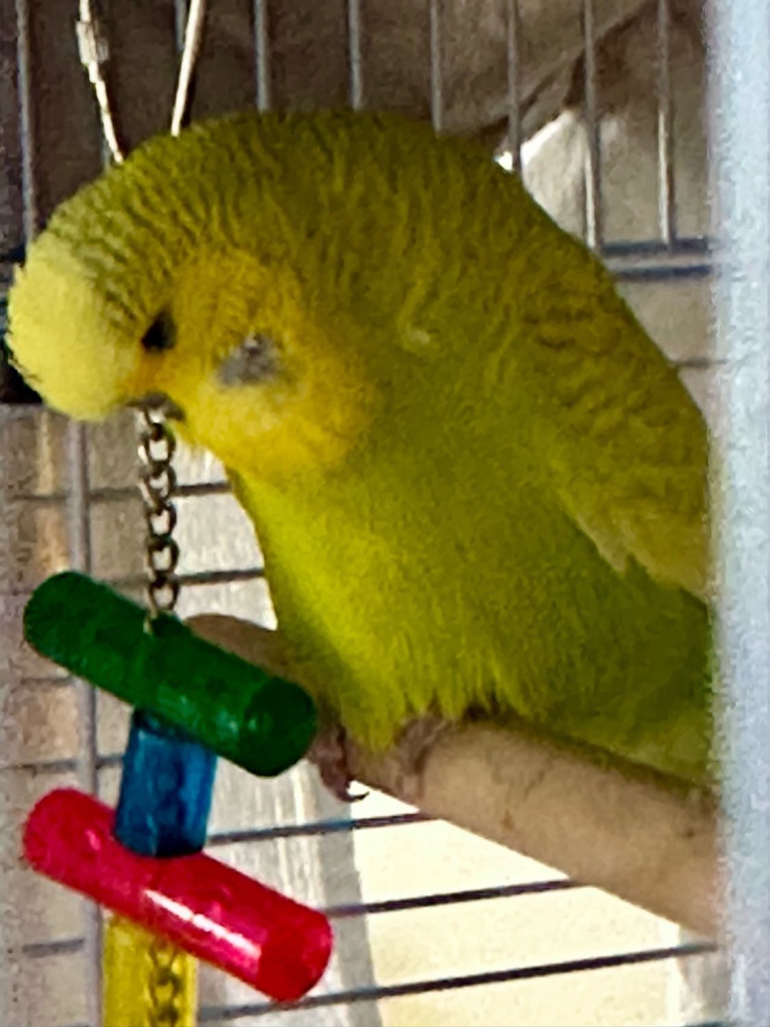 image-6
