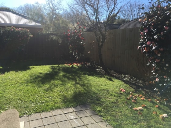 image-3