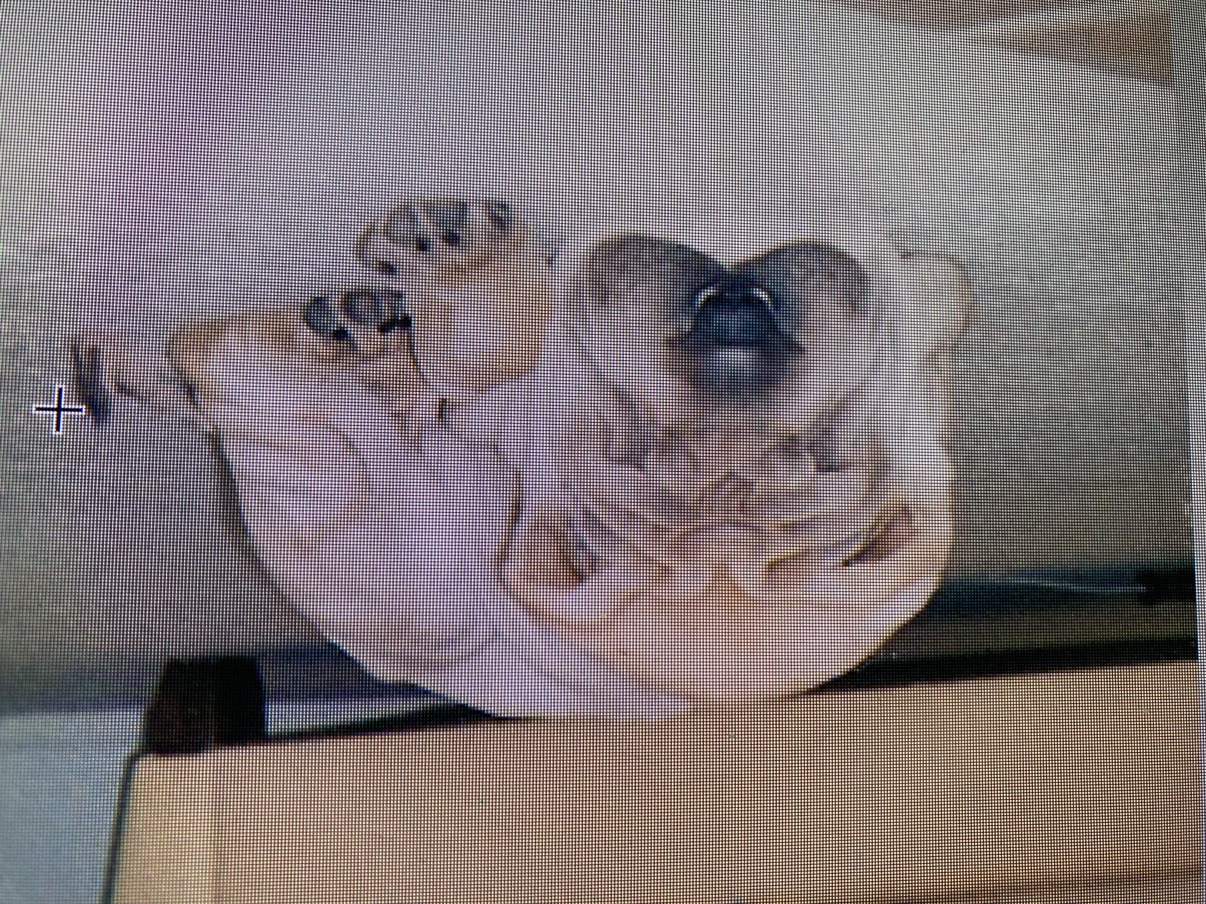 image-0