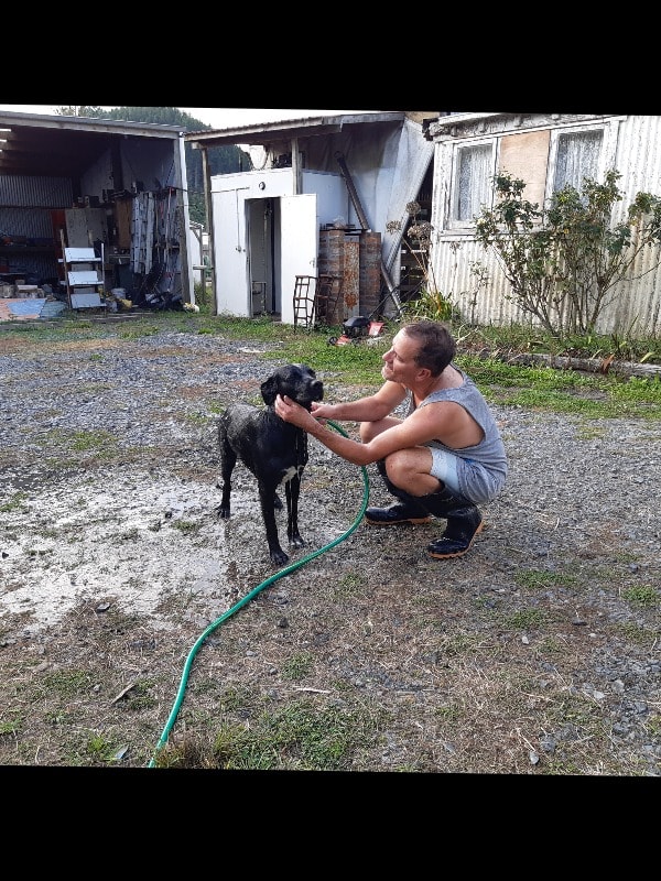 image-19