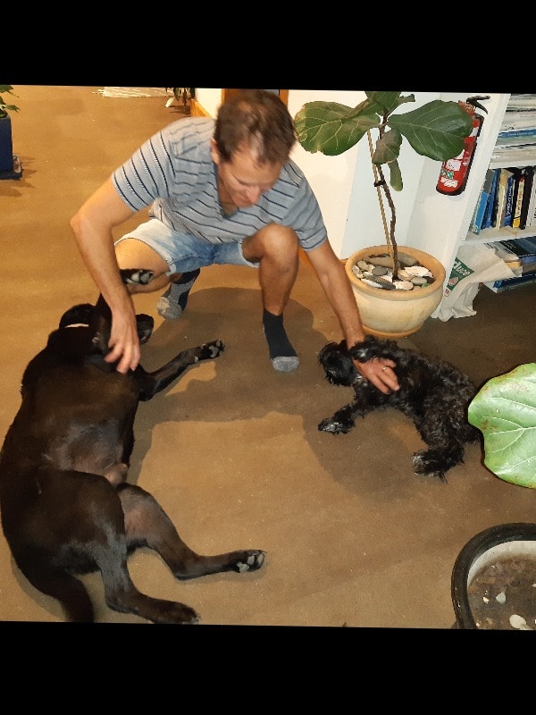 image-18