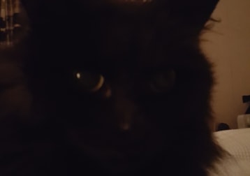 Bunty