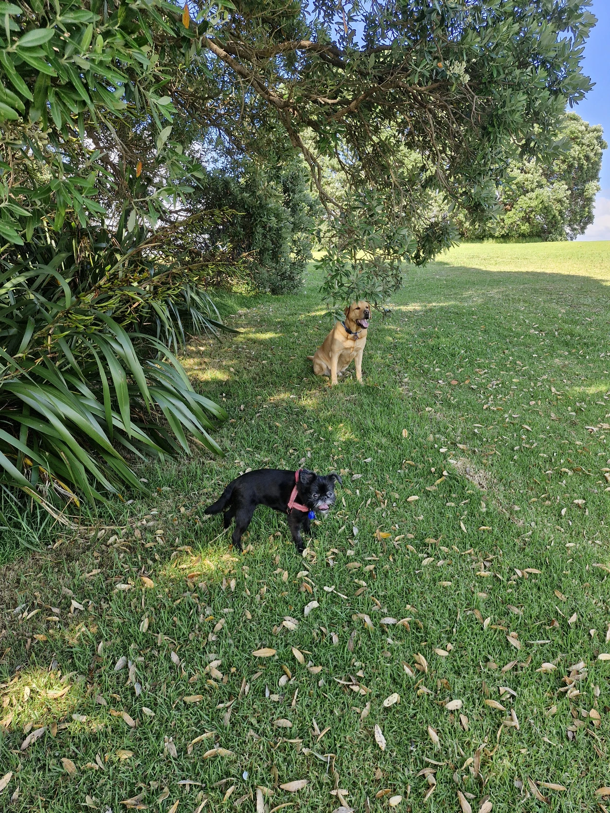 image-9