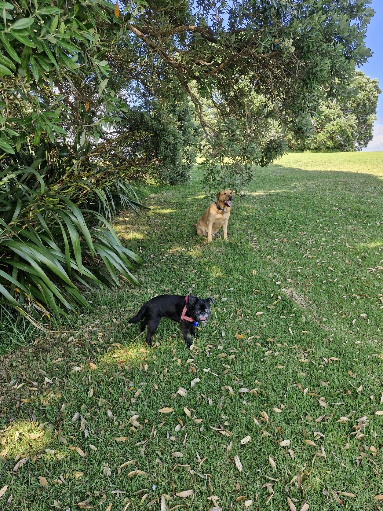 image-9