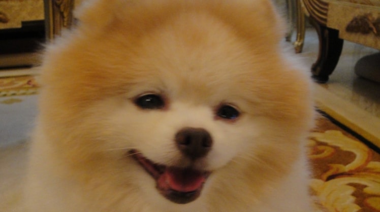 image-3