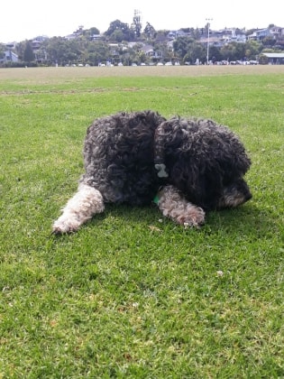 image-7