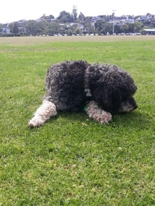 image-7