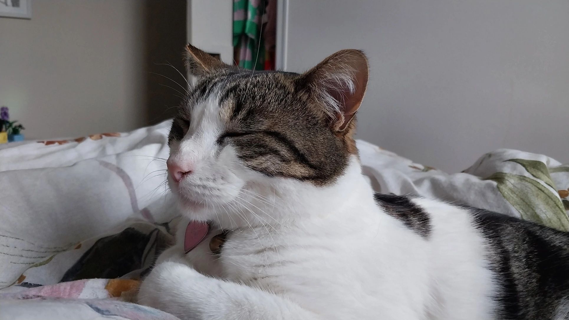 image-12