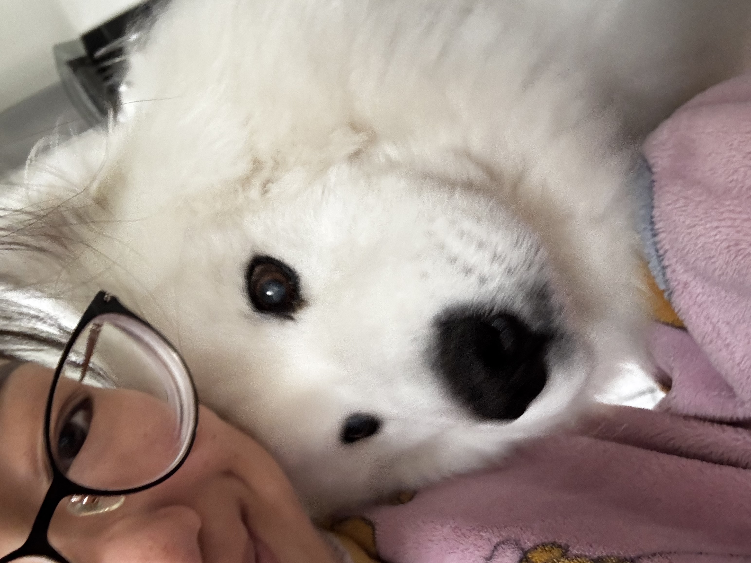 image-8