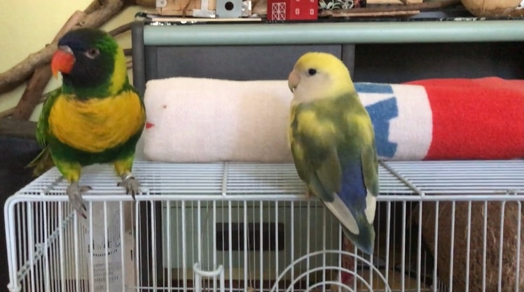 image-3