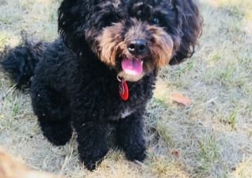 Ruby