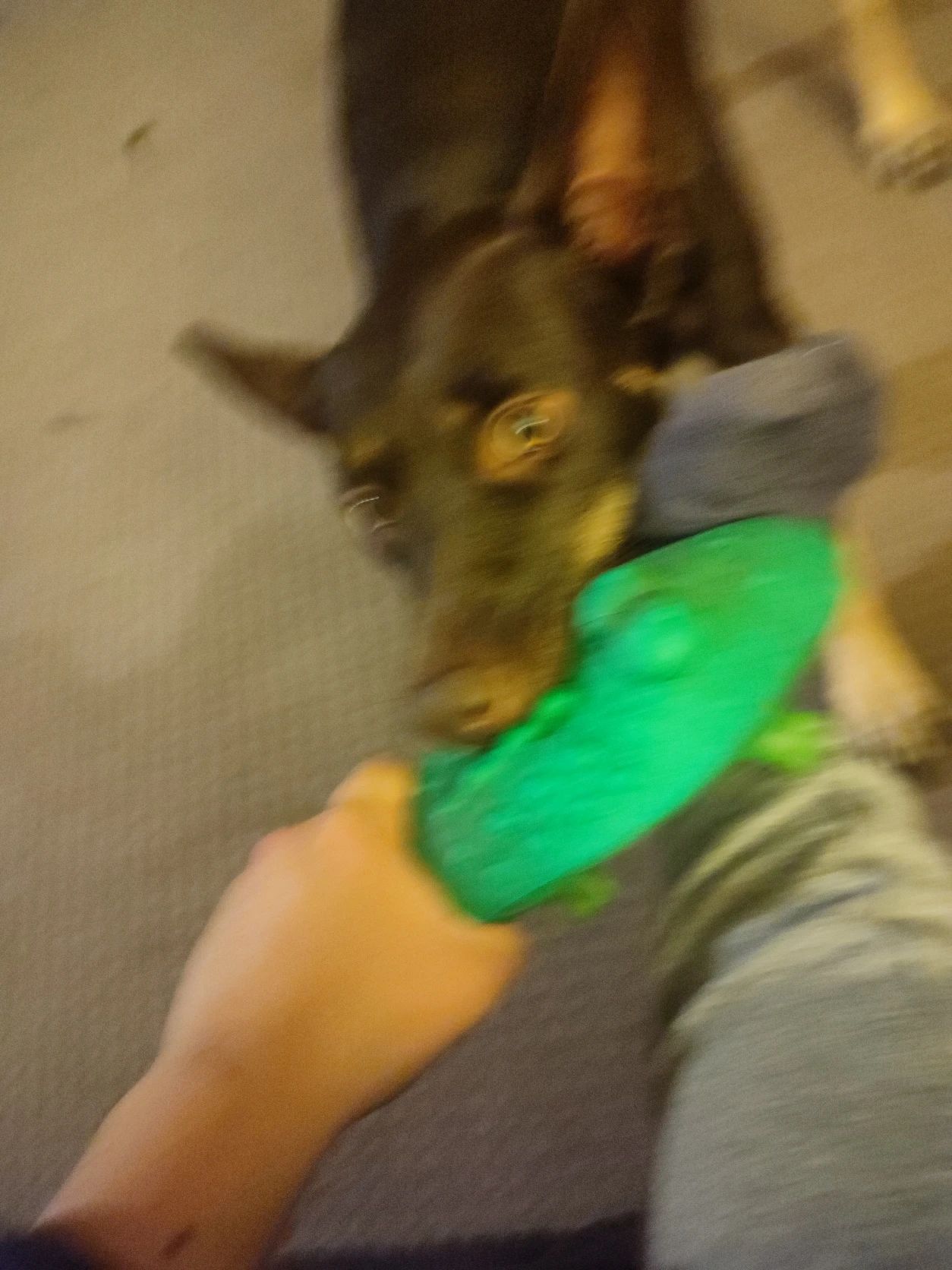 image-8