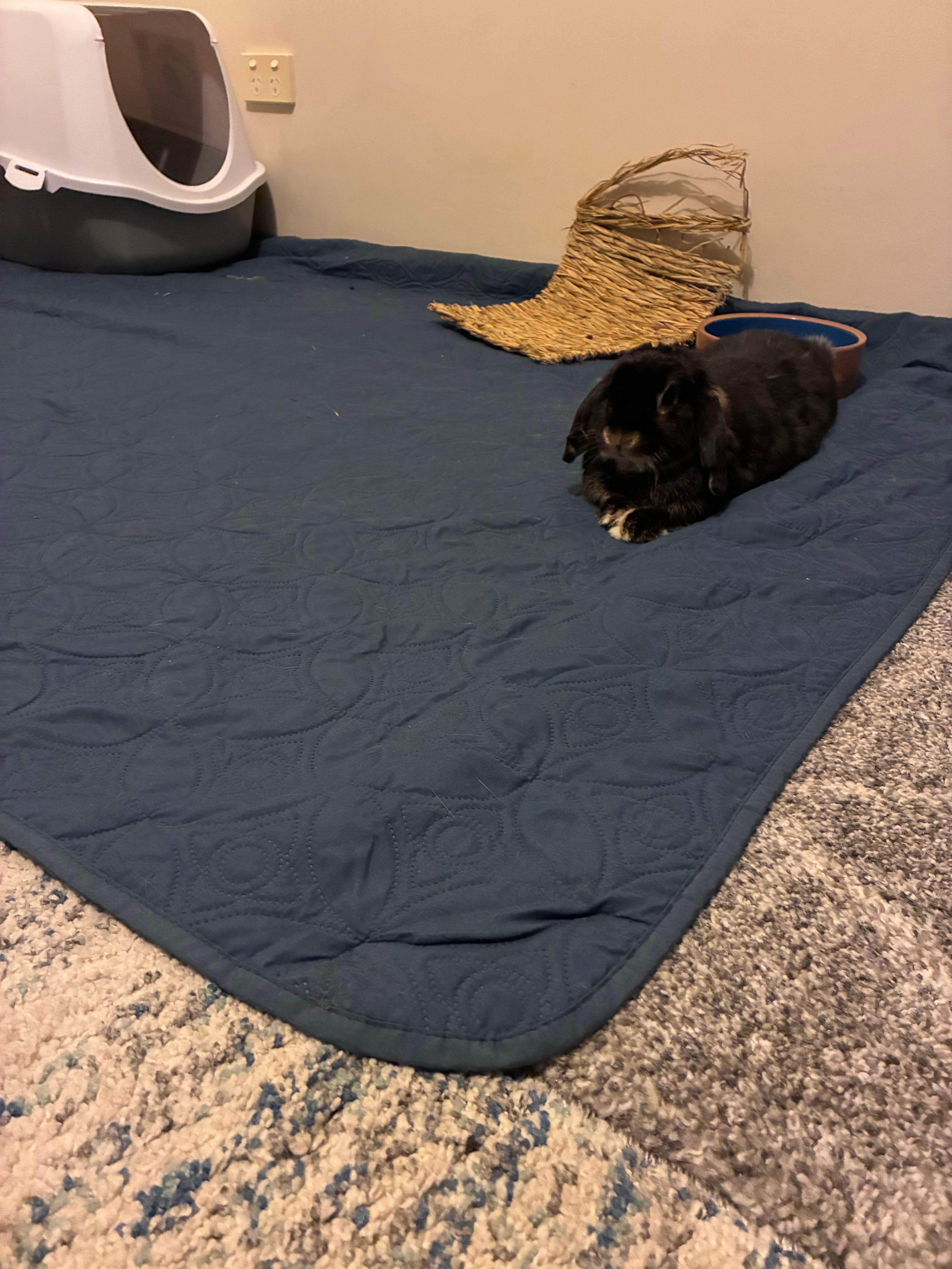 image-17