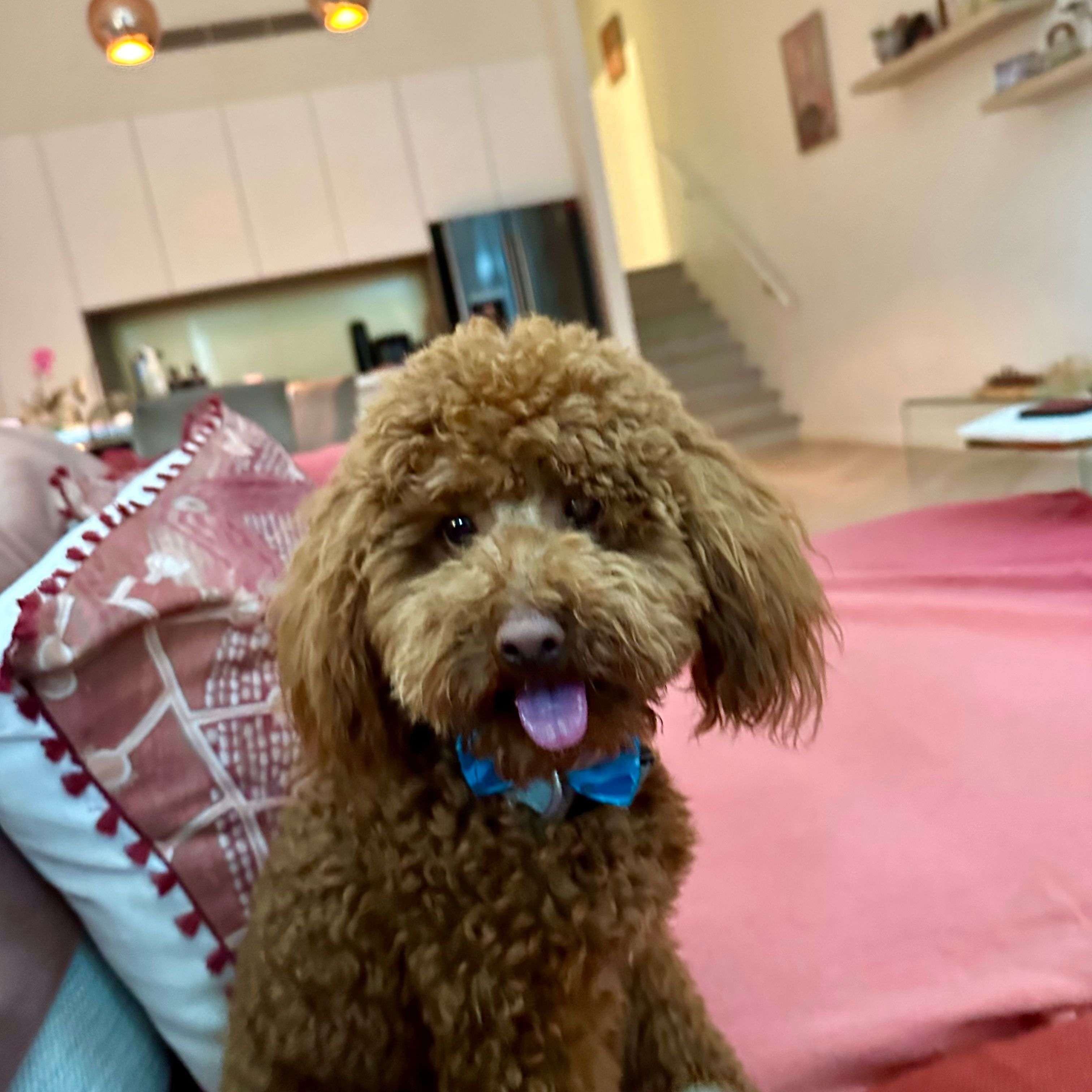 Wally