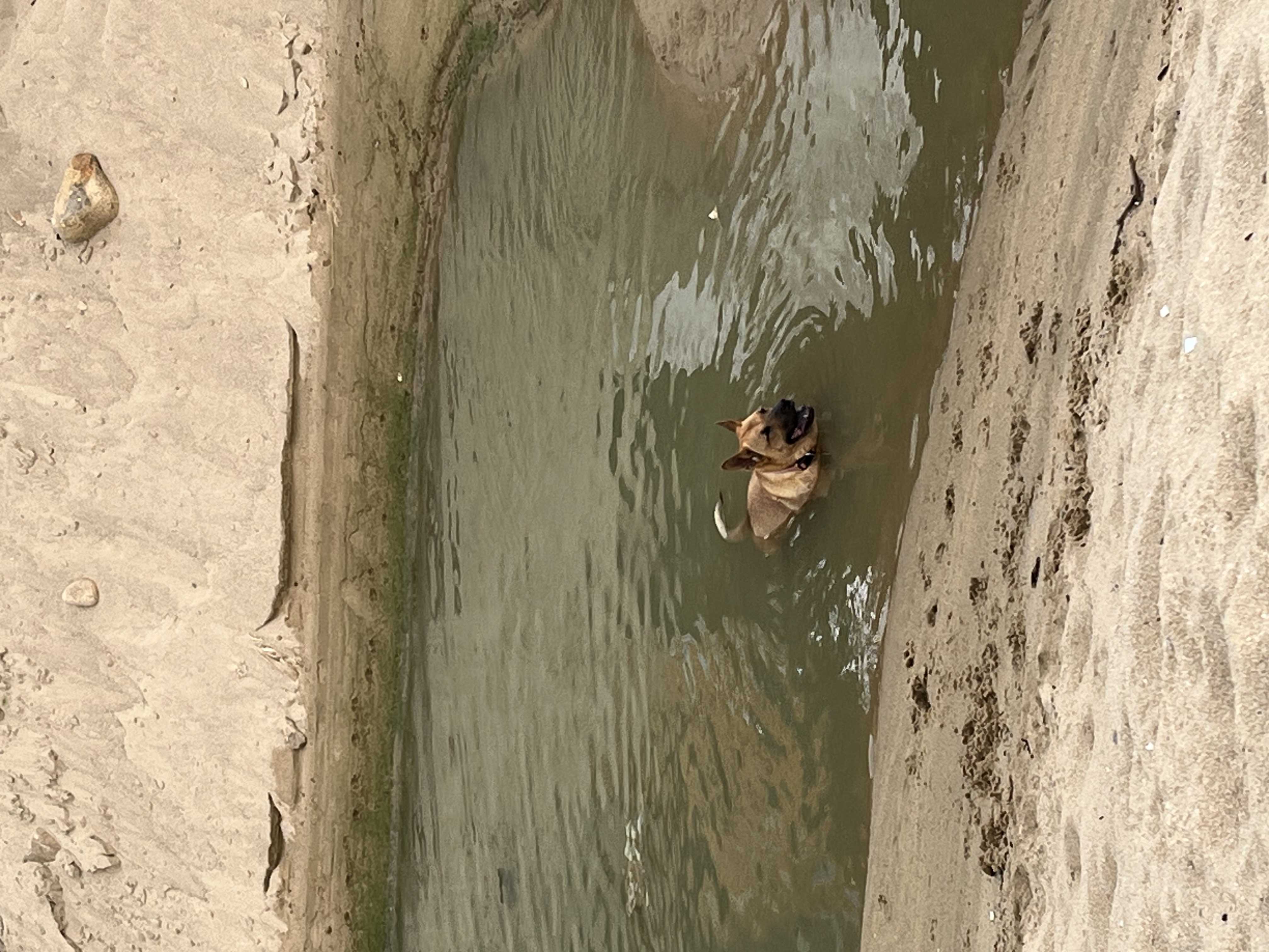 image-8