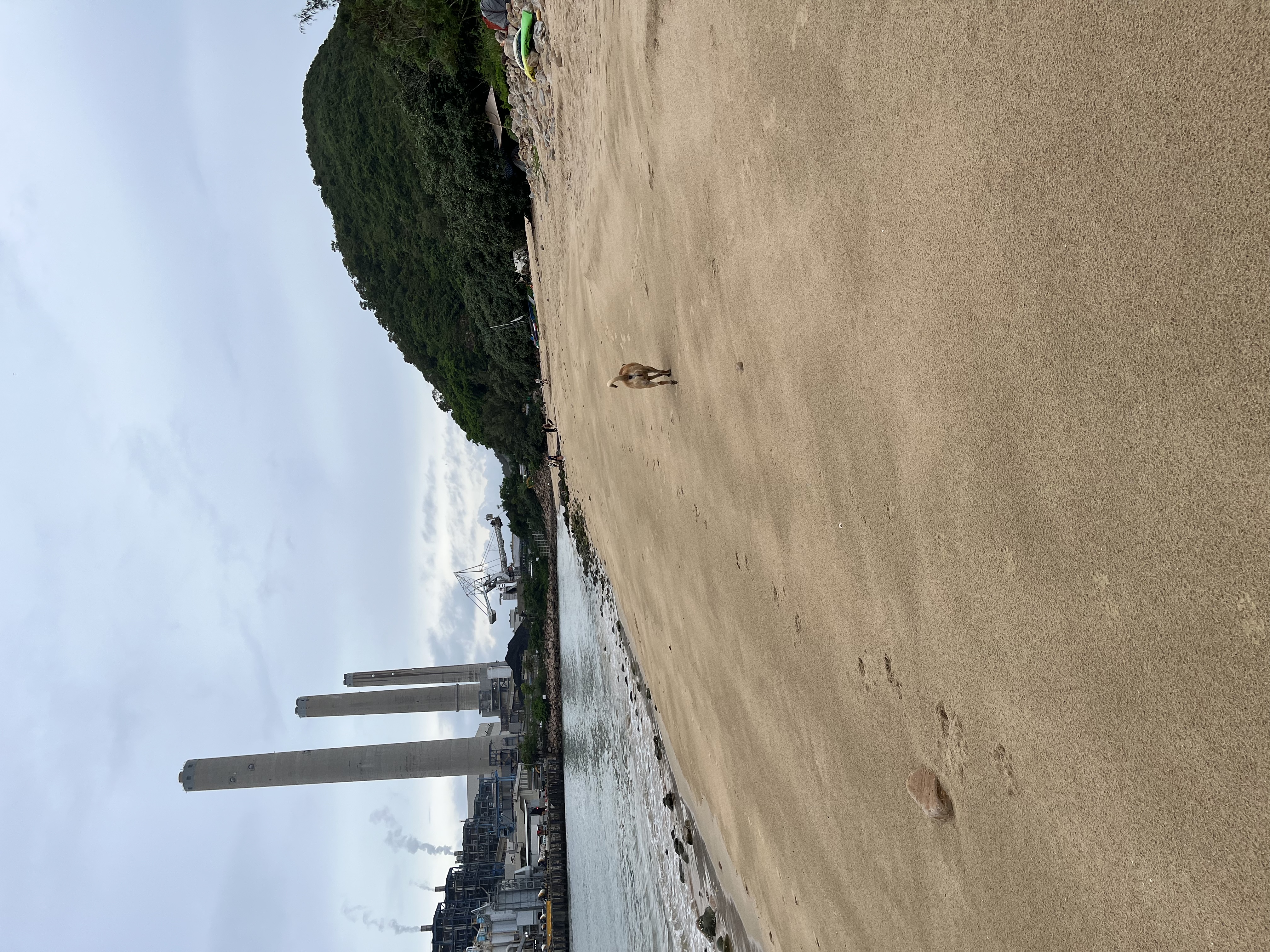 image-7