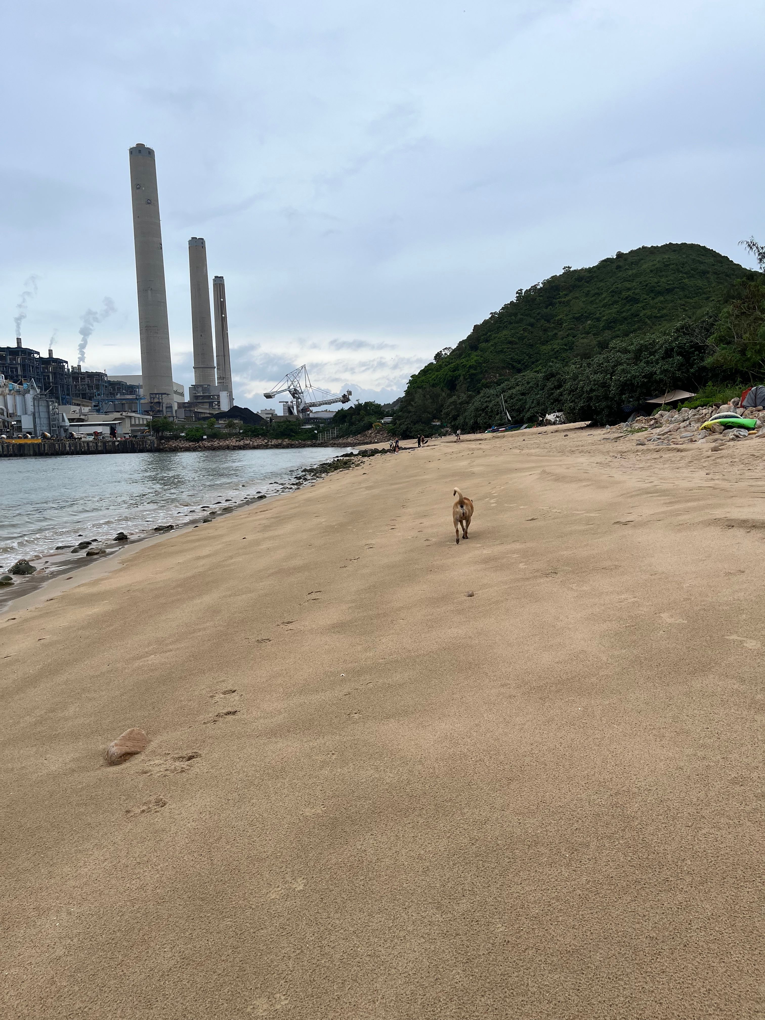 image-7