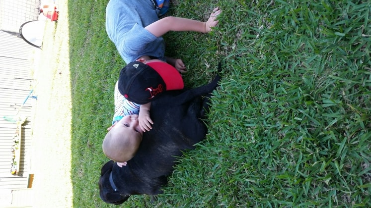 image-1