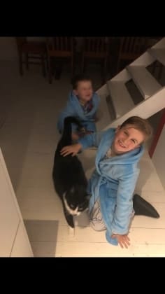 image-35