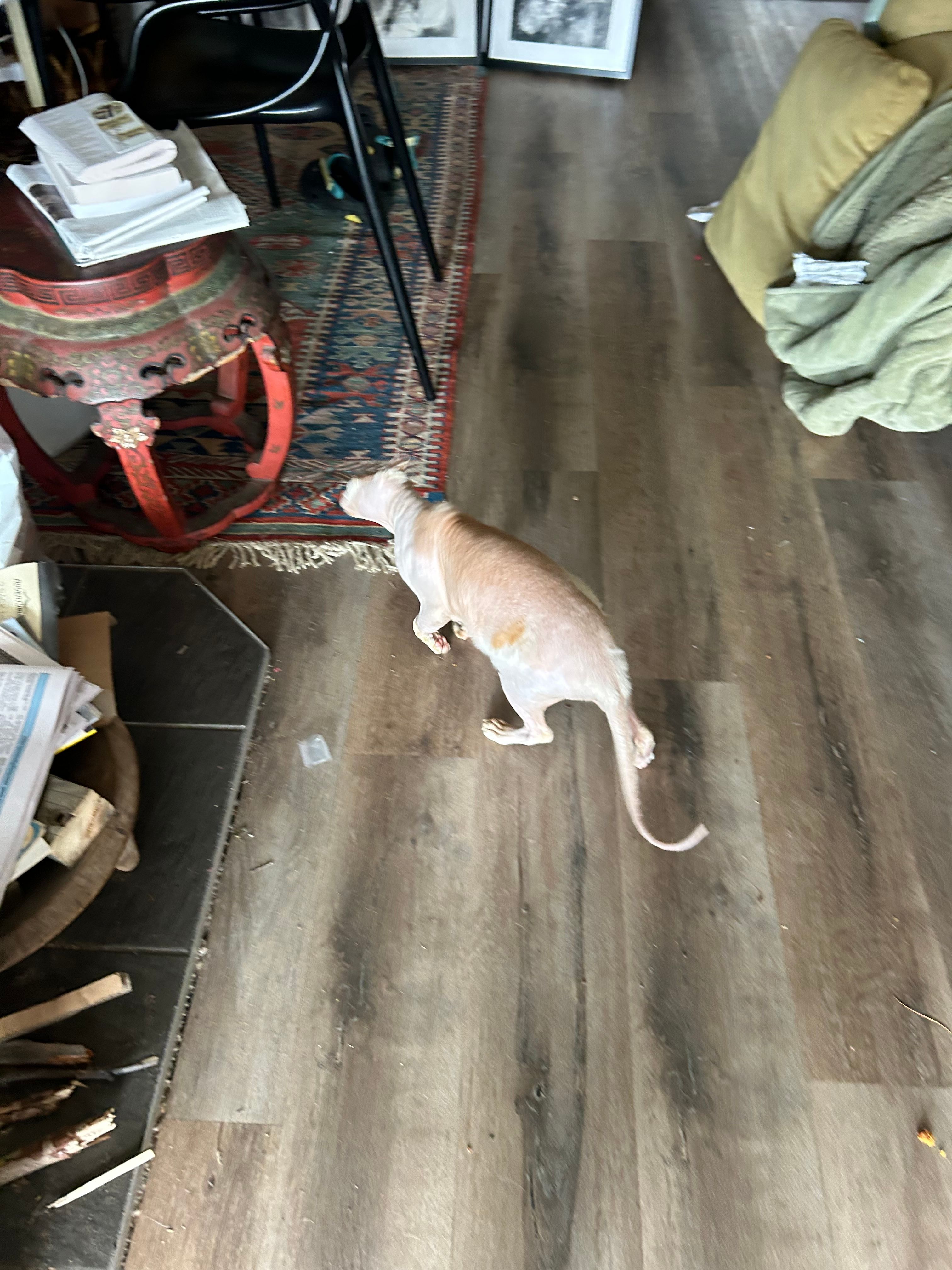 image-41