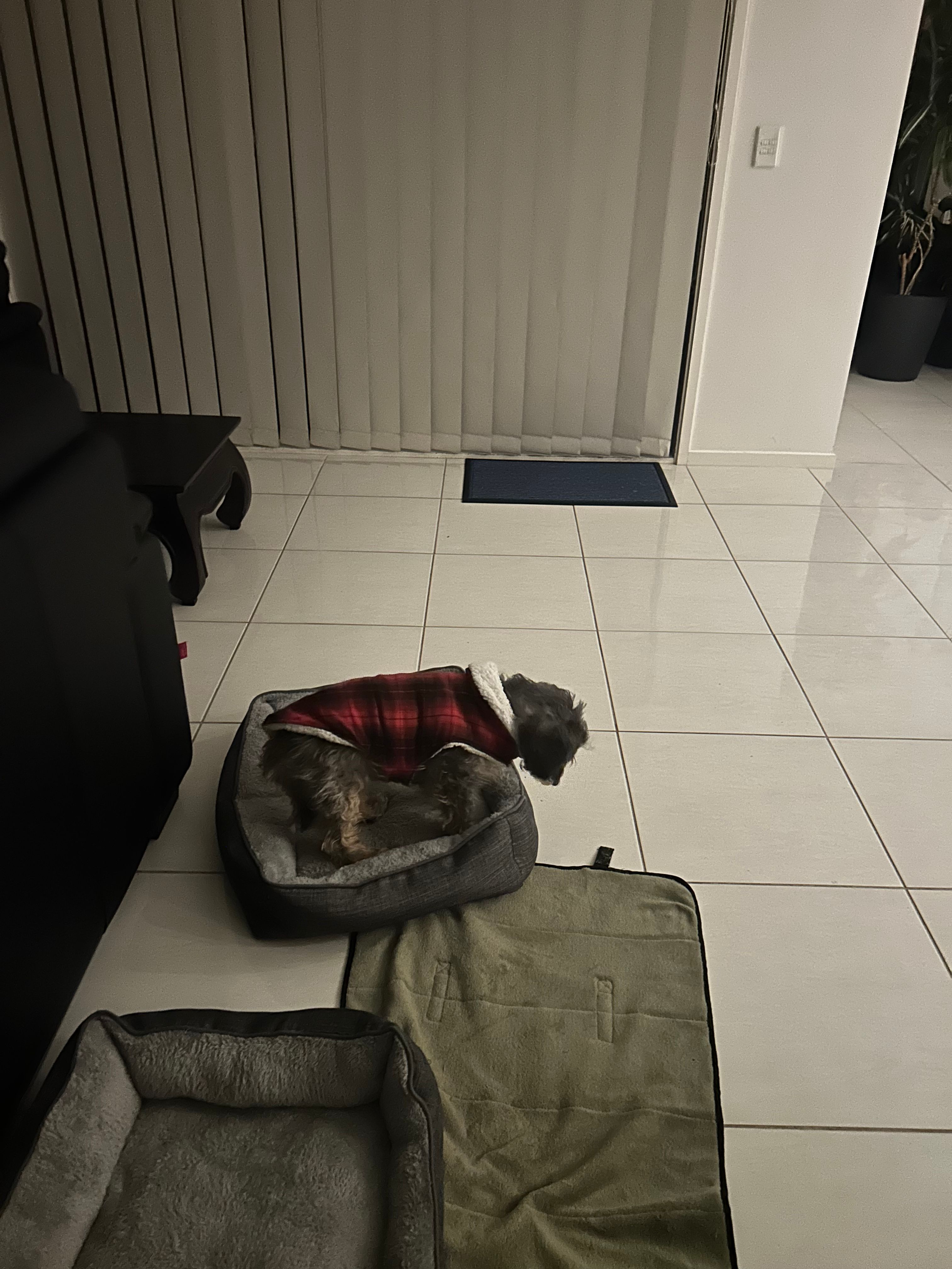 image-38