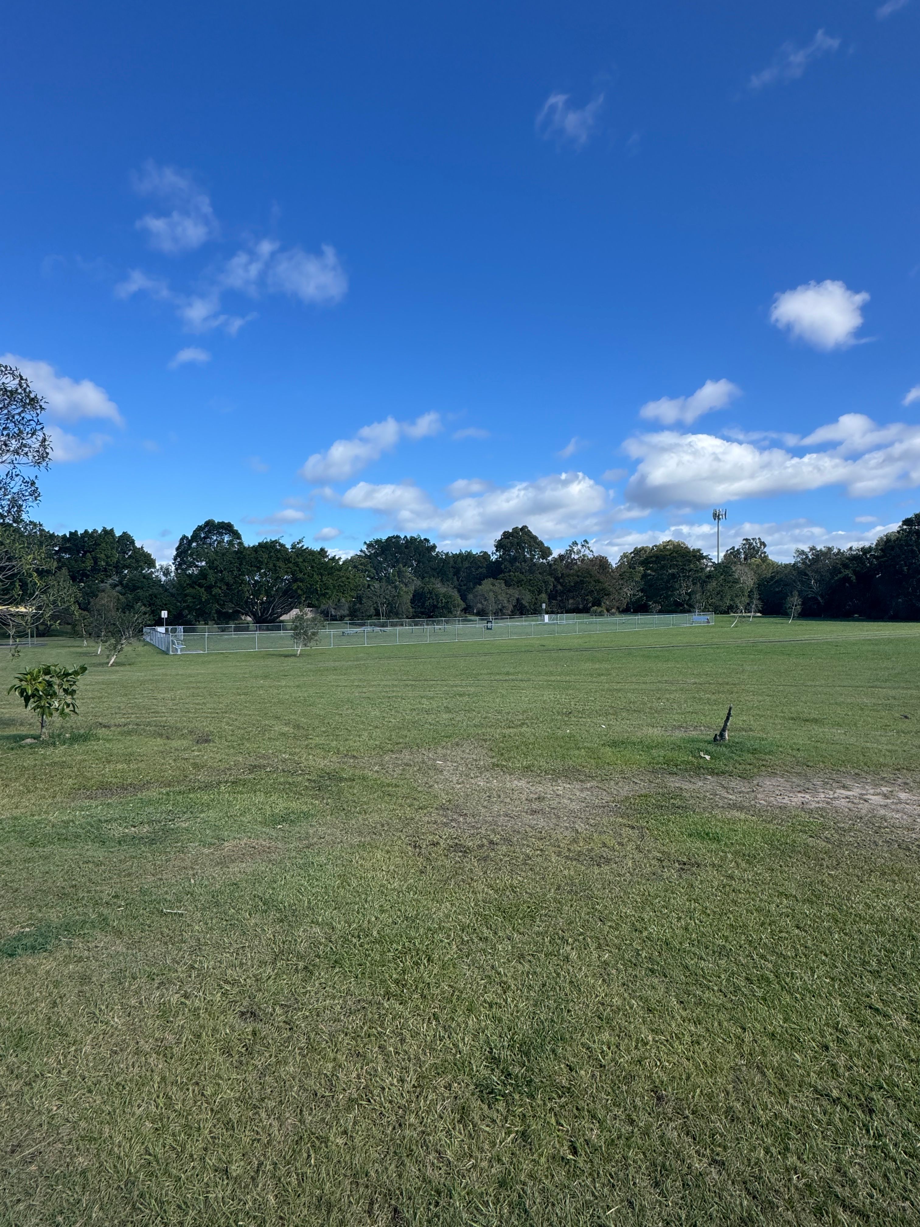 image-16