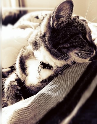image-5