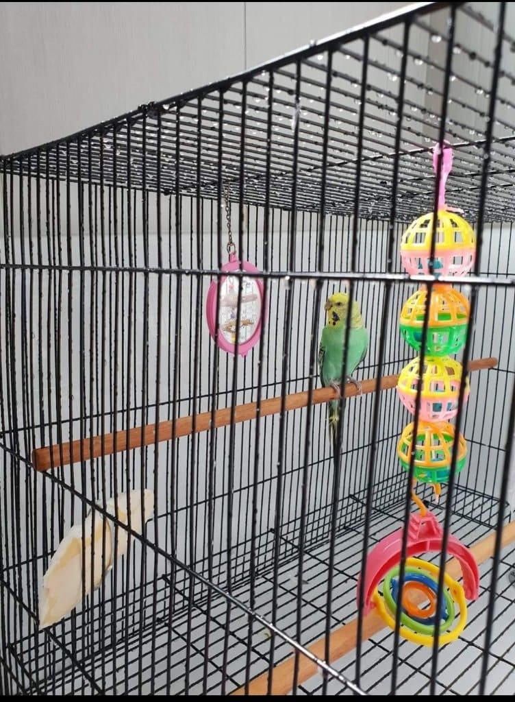 image-3