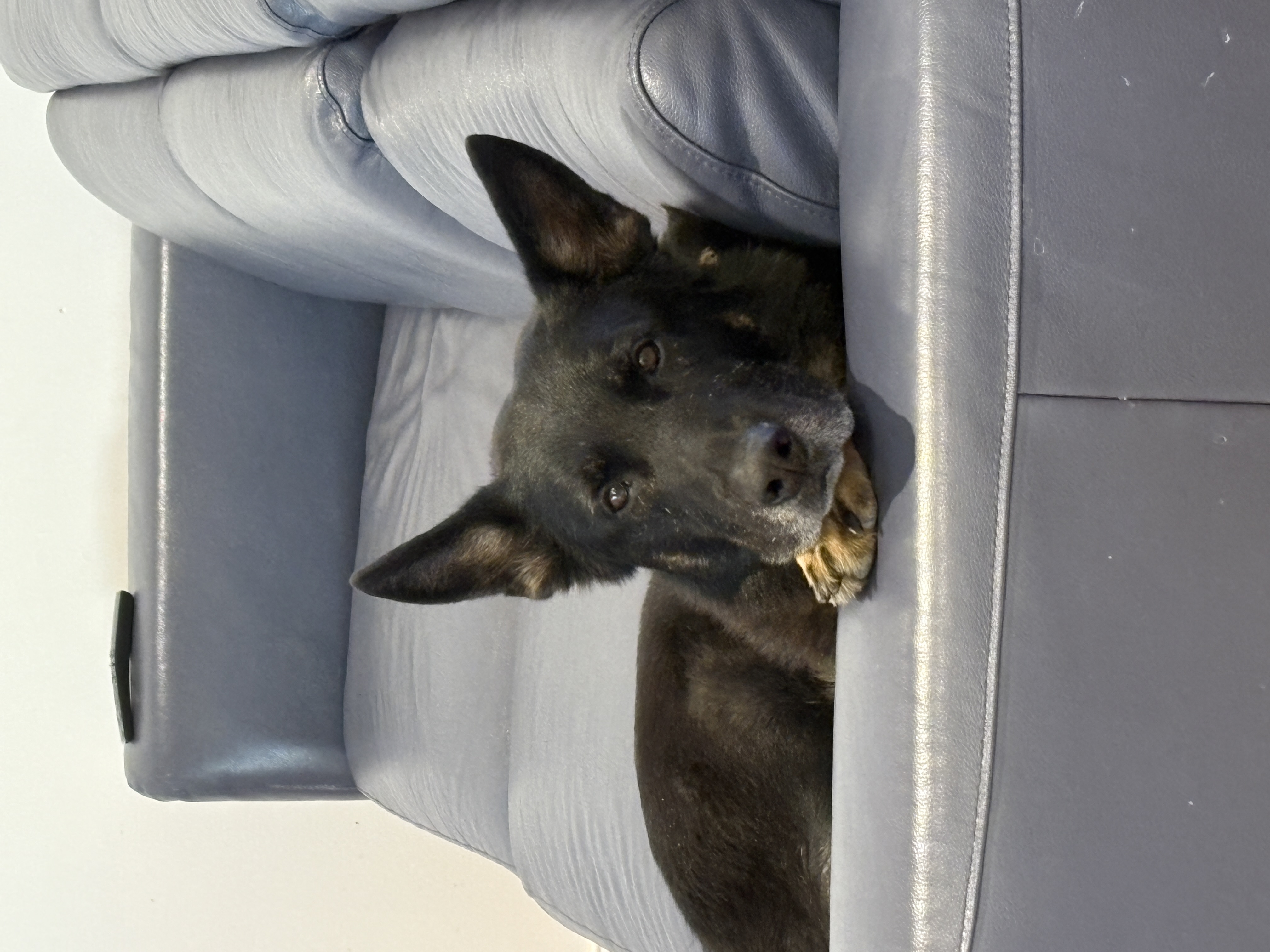 image-6