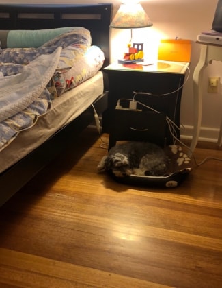 image-5