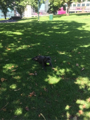 image-14